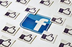 500 fb likes