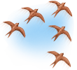 Миграция